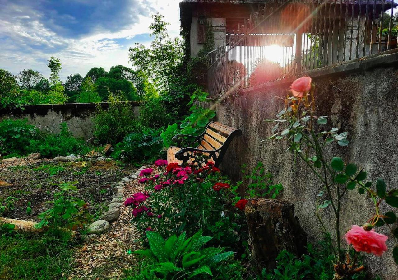 Domaine Lou Castet Bed & Breakfast Tuzaguet Eksteriør bilde