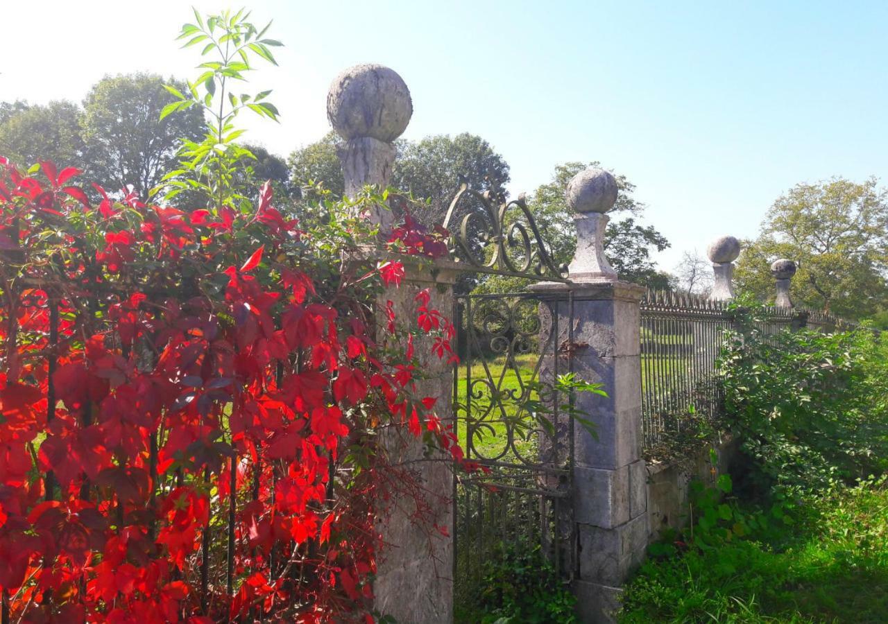 Domaine Lou Castet Bed & Breakfast Tuzaguet Eksteriør bilde